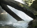 La Vaioaga waterfall at Cheile Nerei National Park, Romania Royalty Free Stock Photo